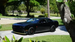 
										11-Mile 2018 Dodge Challenger SRT Demon full									